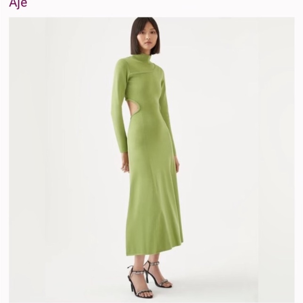 New AJE dress. Never been worn.
